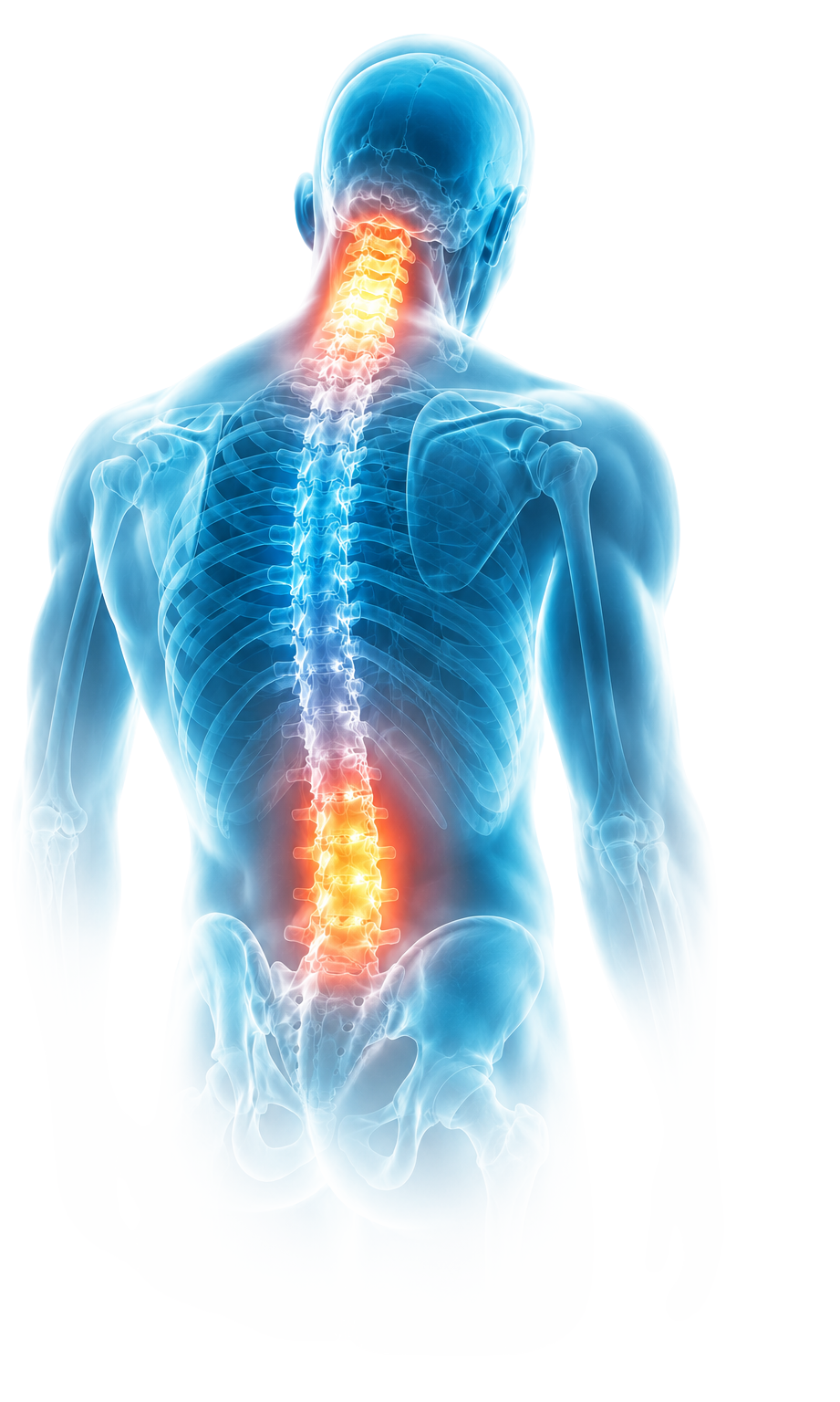 Ilustración 3D de columna vertebral con puntos de dolor cervical y lumbar iluminados